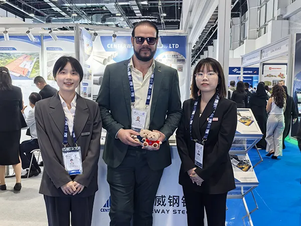 Немецкий стандарт сильфонные задвижки, коррозионностойкие обратный клапан, API 603 коррозионностойкие задвижки